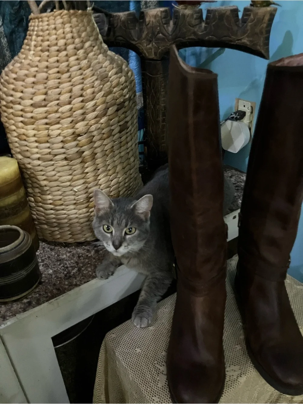 Lucky Brand Women's Tall Brown Leather Over-the-Knee Boots